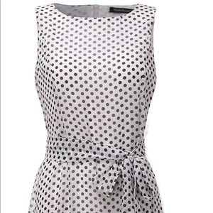 Chiffon Sleeveless Polka Dot A Line Dress